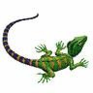 SilentLizard