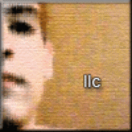 llc