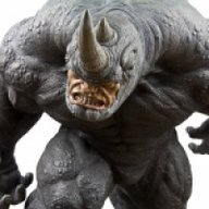 Rhino5678