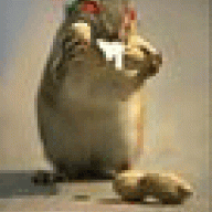 RABID-CHIPMUNK