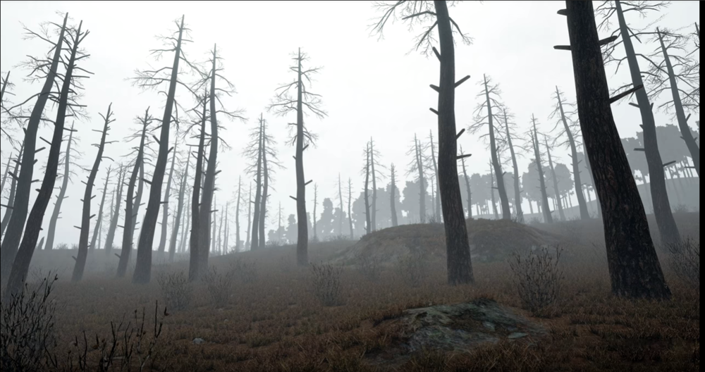 fog.thumb.PNG.a67358c809591edb85bdf403dd59beea.PNG
