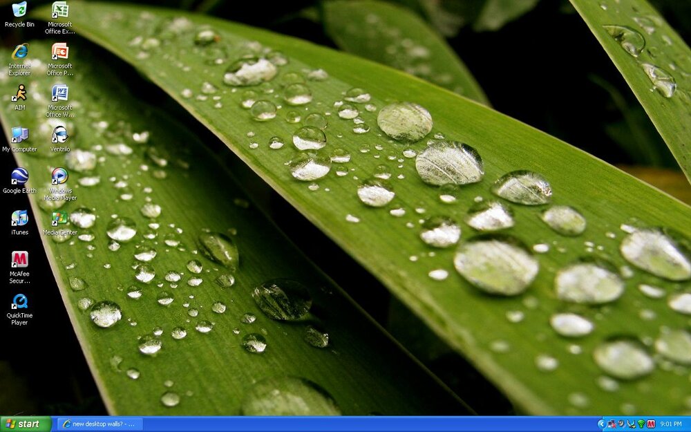 wallpaper.thumb.JPG.12a2fbd3e855d6b833e268c5d119b650.JPG