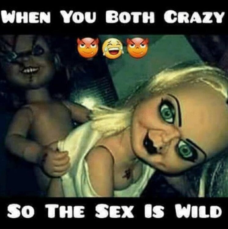 wild.thumb.jpg.f6f6516ffe689b3a62d67e6c39e3ac3f.jpg